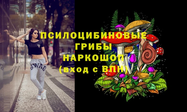 ГАЛЛЮЦИНОГЕННЫЕ ГРИБЫ Алзамай