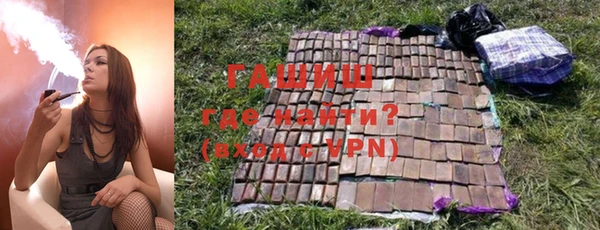 гидра Алексеевка