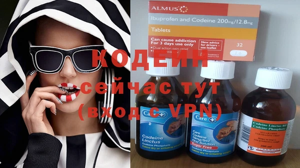 гидра Алексеевка